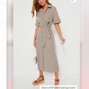 Tuckernuck POMANDER PLACE Brown Gingham Seersucker Zacara Dress
